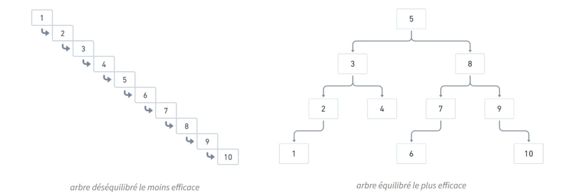 Arbres équilibrés et déséquilibrés